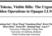 想知道你的LLM API被过度收费了吗?隐藏的Tokens终于可以被审计了