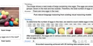 20个样本,搞定多模态思维链!UCSC重磅开源:边画框,边思考