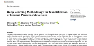 效率提升百倍!耀速科技携手辉瑞推出下一代AI图像决策引擎,引领全球数字病理进入秒级时代!