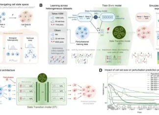 斯坦福Arc发布全球首个虚拟细胞模型! 1.7亿细胞训练,细胞治疗不再“盲试”