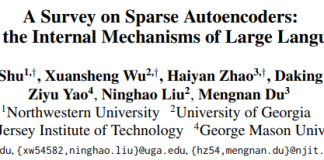 大模型到底是怎么「思考」的?第一篇系统性综述SAE的文章来了