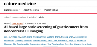 这个AI能救命!提前6个月发现胃癌病灶,突破医学影像认知,达摩院做成了