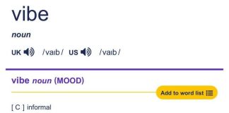 现在张嘴不说Vibe,都不适合在AI圈待了?