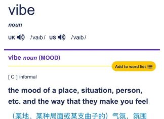 现在张嘴不说Vibe,都不适合在AI圈待了?