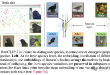 AI一眼认出95万物种,还能分辨雄雌老幼,2亿生物图像炼成“生命视觉”大模型