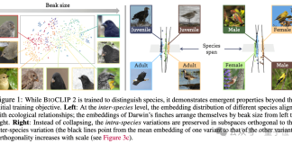 AI一眼认出95万物种,还能分辨雄雌老幼,2亿生物图像炼成“生命视觉”大模型